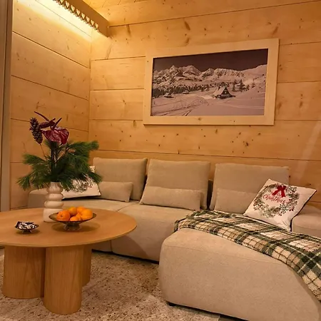 Pod Brzegiem - Luxury Dağ evi